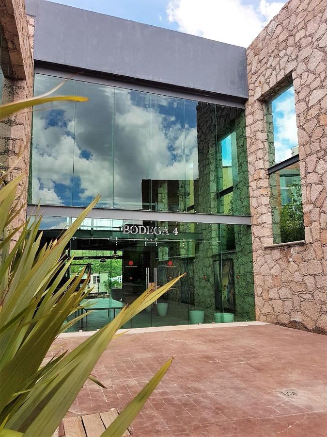 Hotel Camino De Piedra Гуанахуато Экстерьер фото